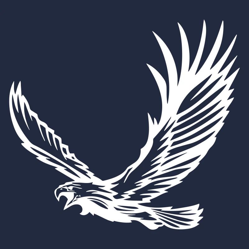 Eagle in Flight - Design