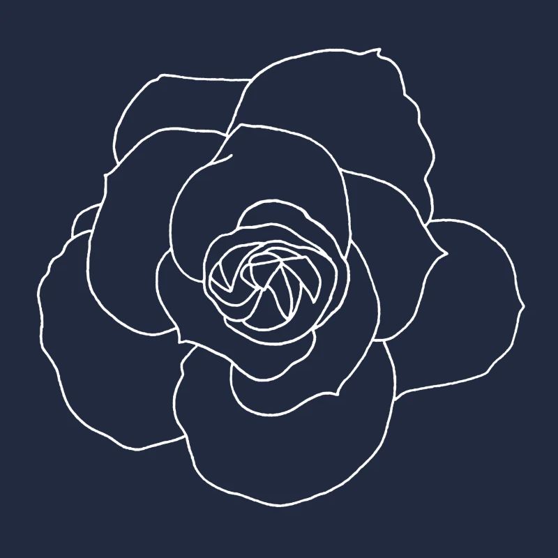 Rose blanche
