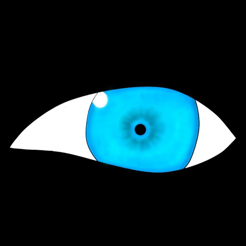 Oeil