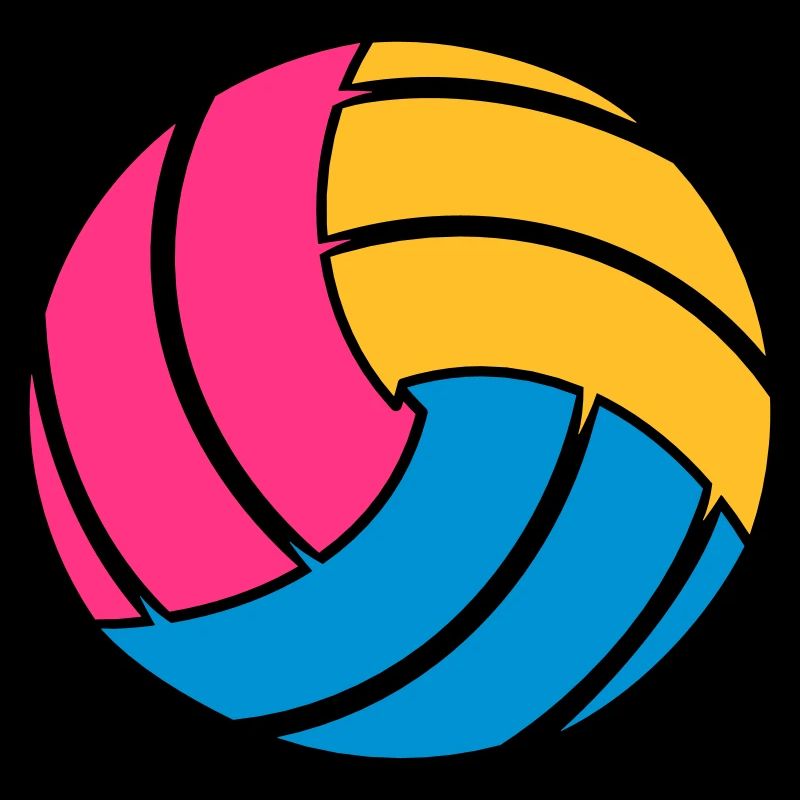 Le ballon de volley-ball