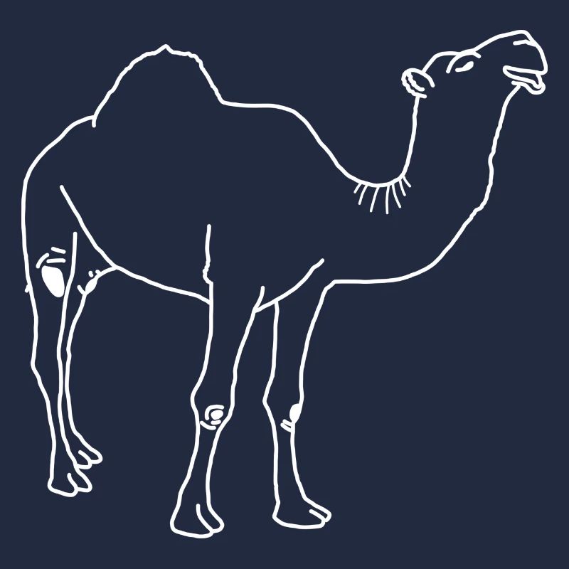 Lineart dromadaire