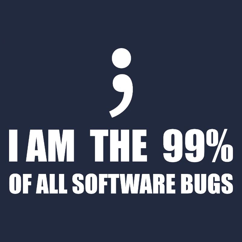 Informatiker, Programmierer