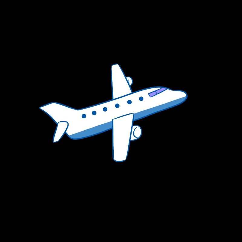 Bâche d'avion