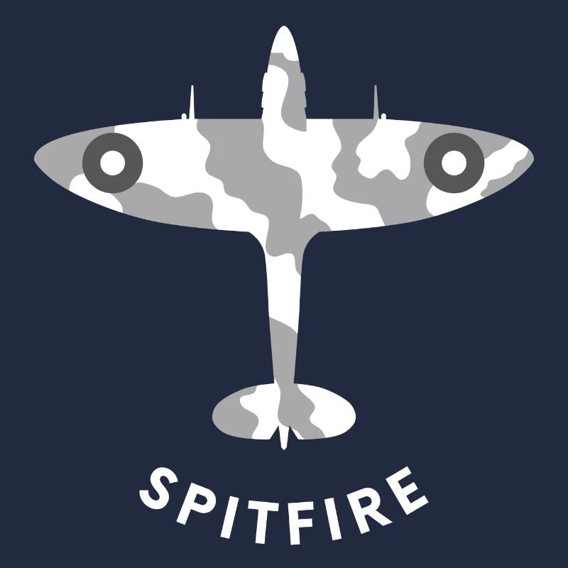 Spitfire fighter plane