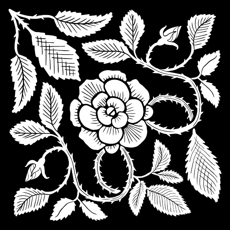 Gravure sur bois botanique Rose blanche avec feuilles