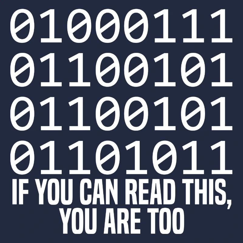 Programmeur Coder Développeur de logiciels