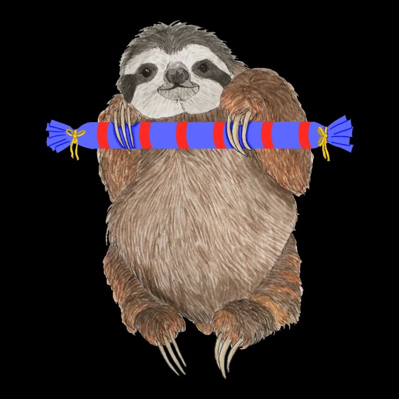 Sloth with gift