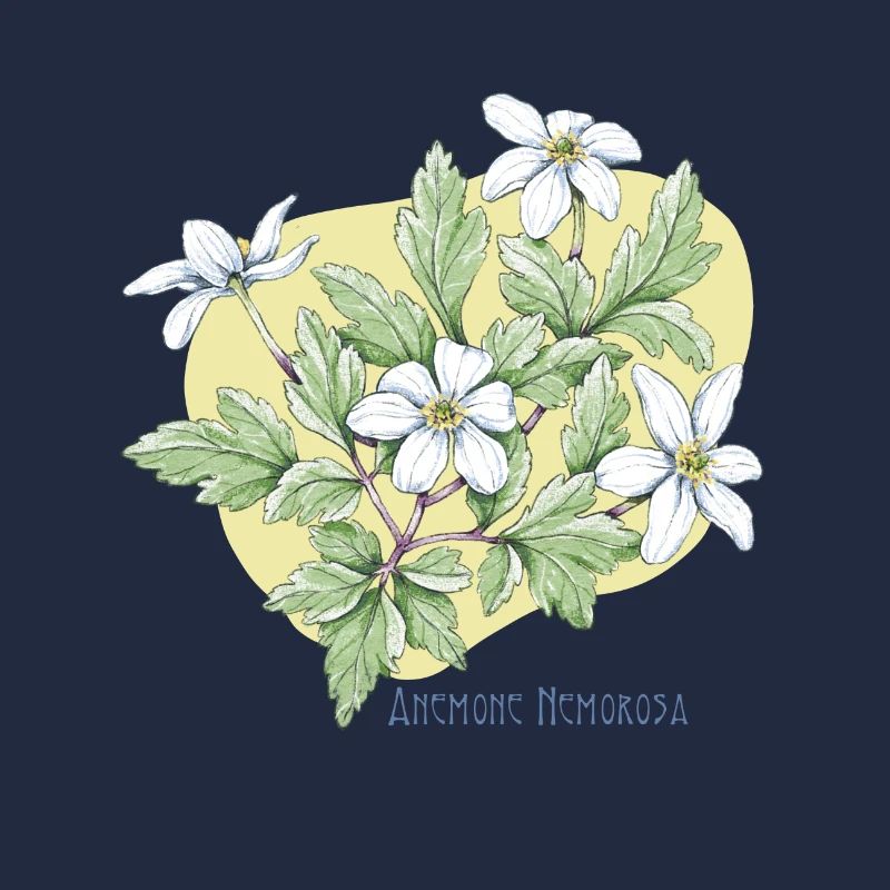 Anemone tree botanical drawing
