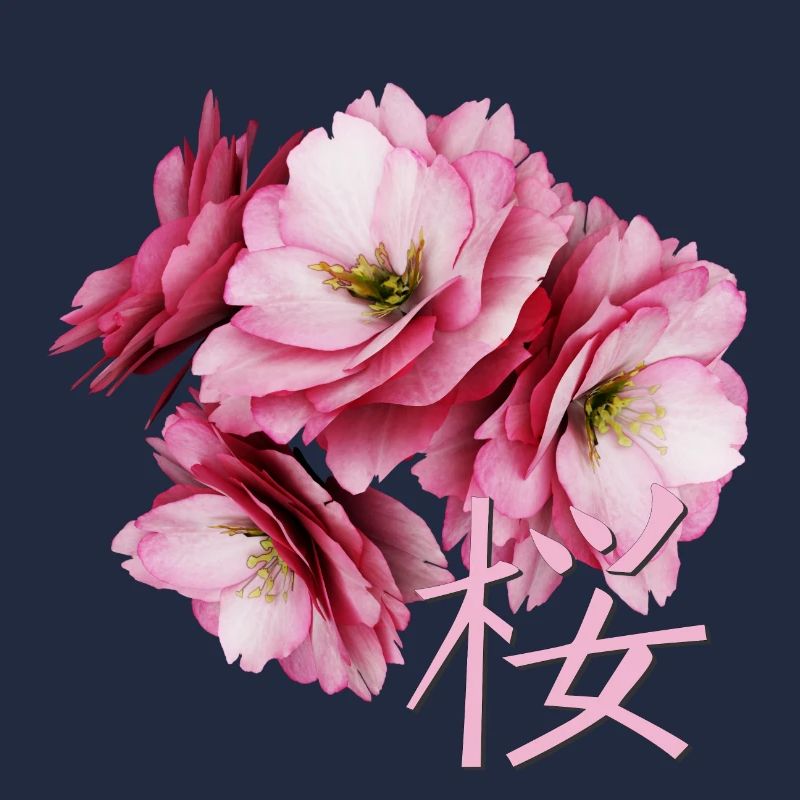 Cherry Blossom