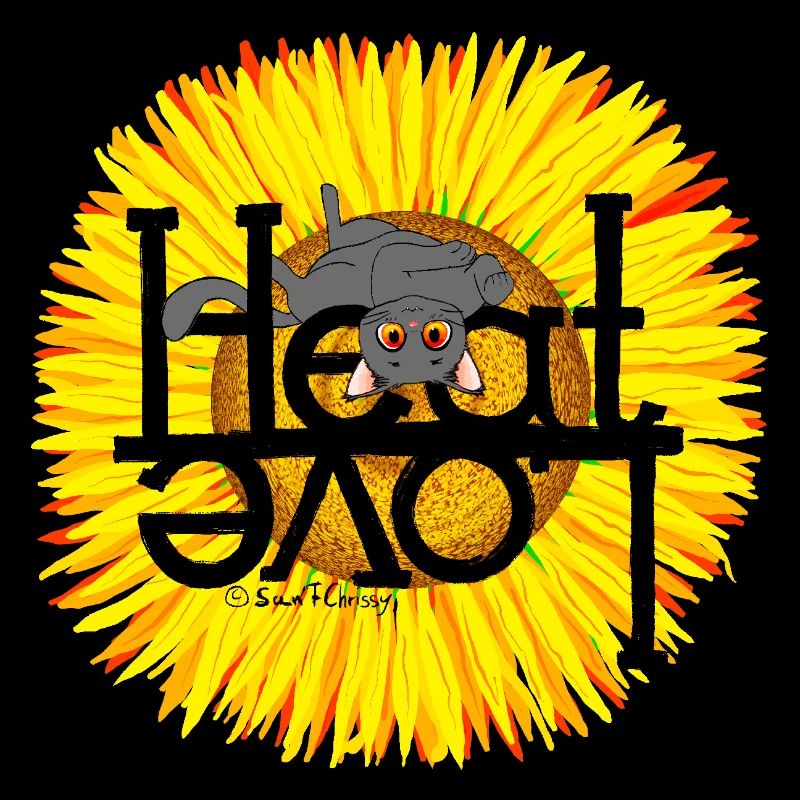 Chat d’été Chaleur Amour