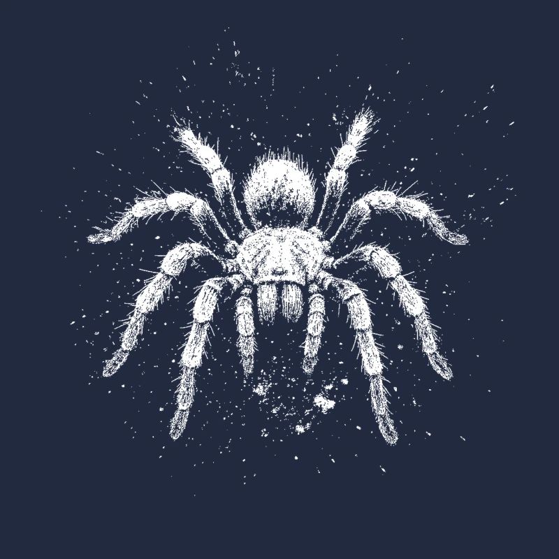 Vogelspinne