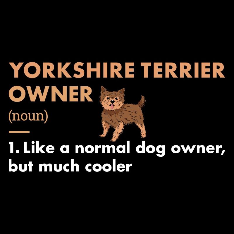 Yorkshire Terrier Définition du propriétaire