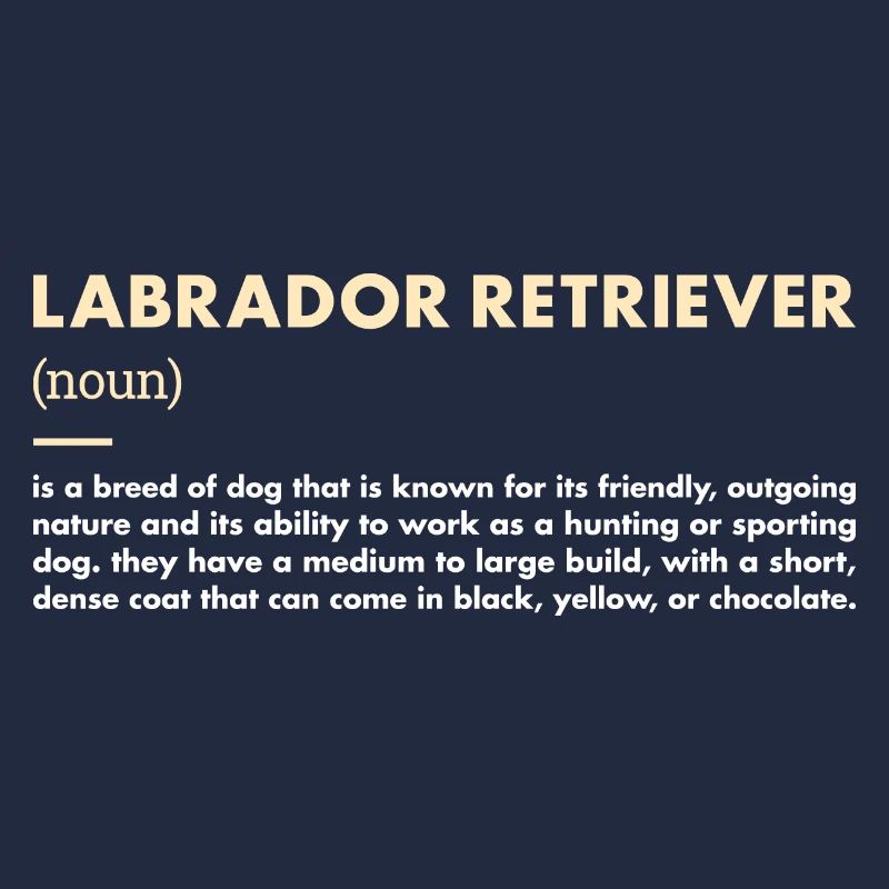 Définition du Labrador Retriever