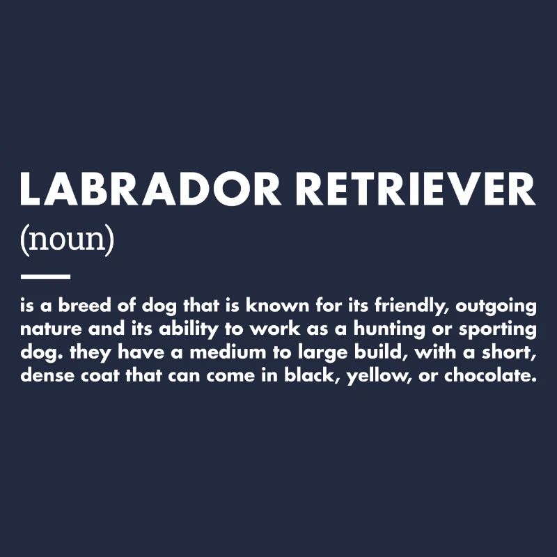 Labrador Retriever Definition
