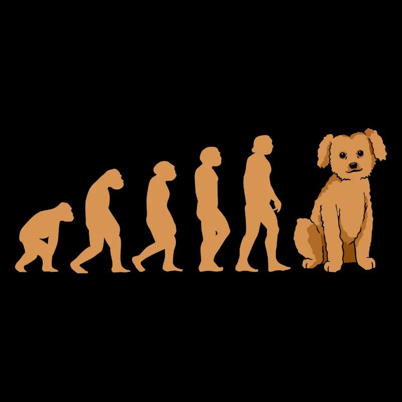 Evolution Poodle