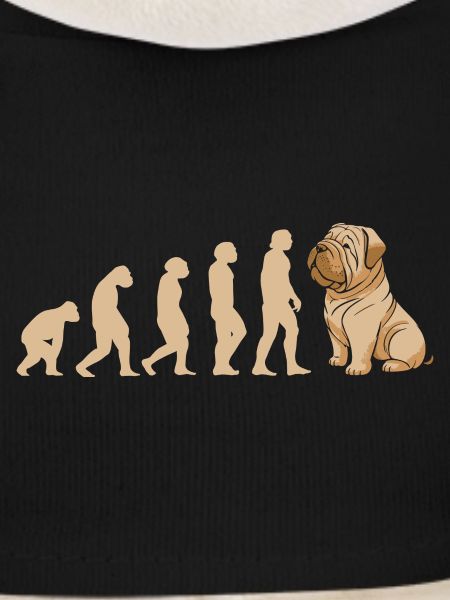 Évolution Shar Pei
