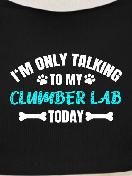 Clumber Lab