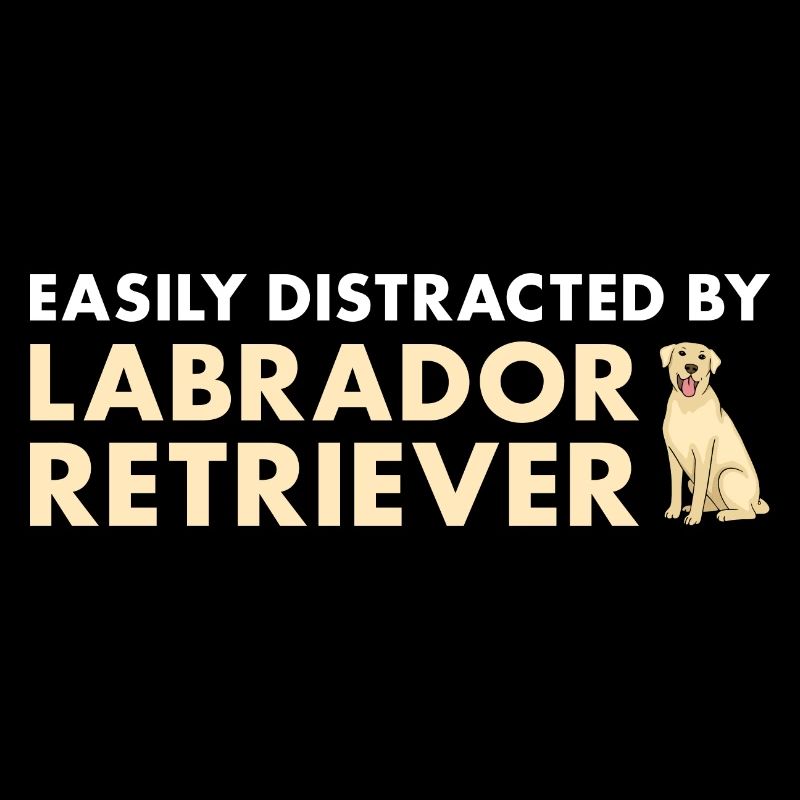 Easily Distracted By Labrador Retriever