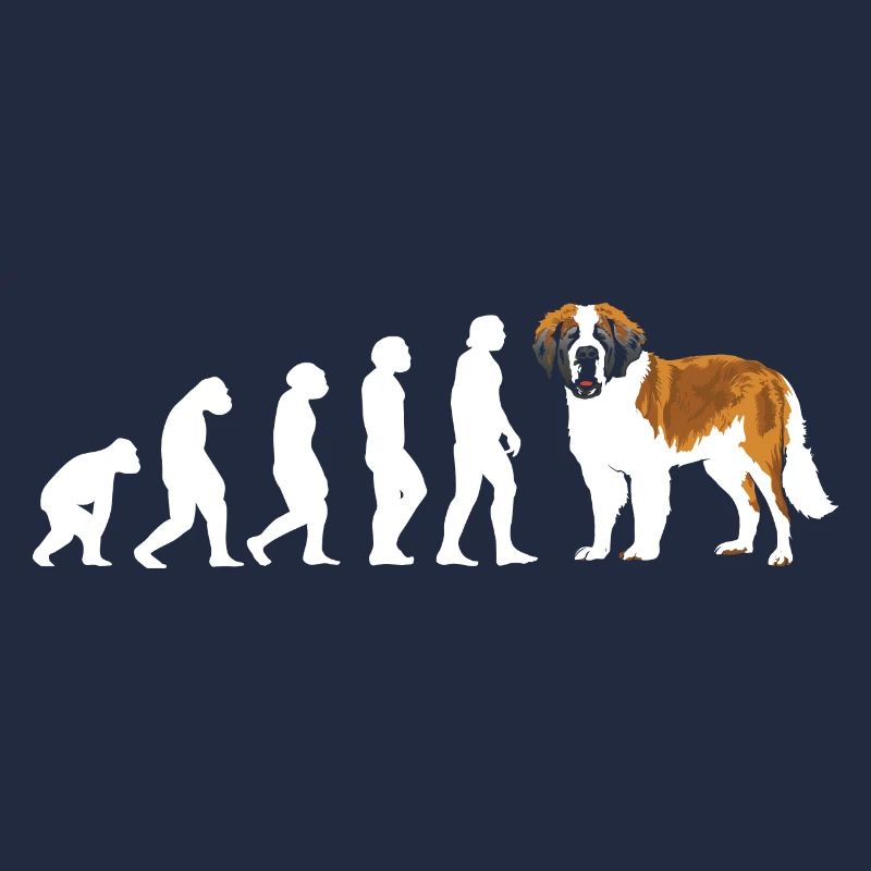 Evolution Saint-Bernard
