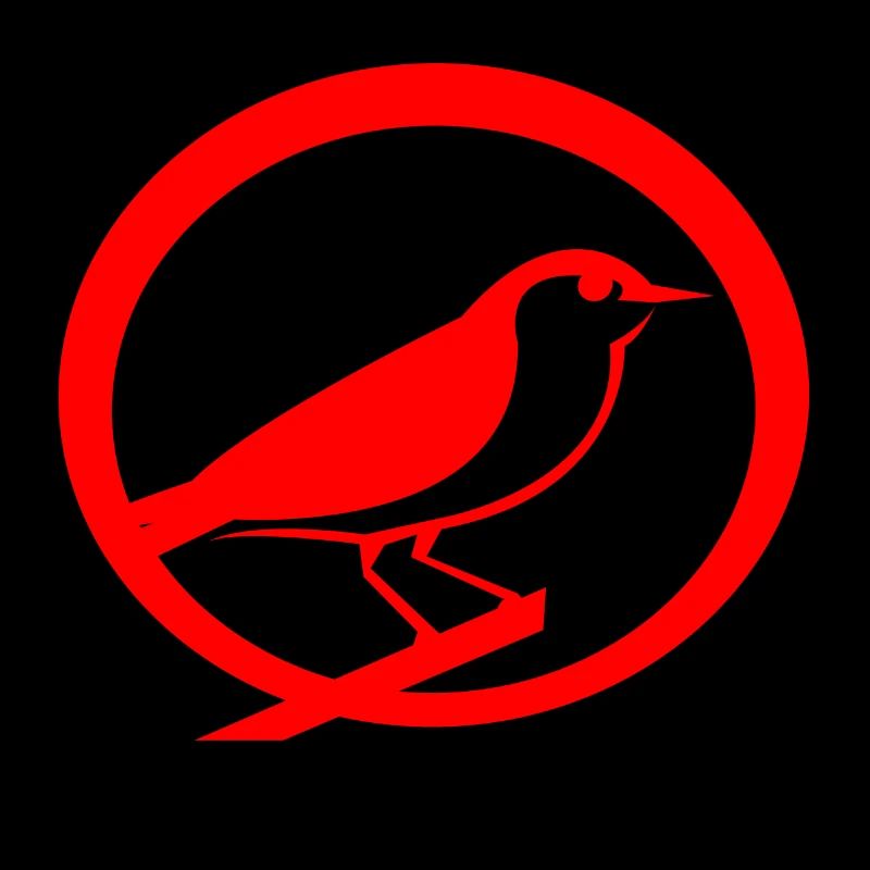 bird