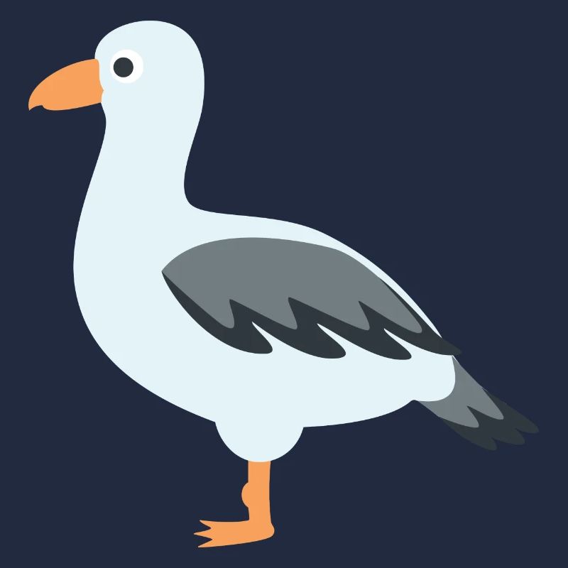 mouette