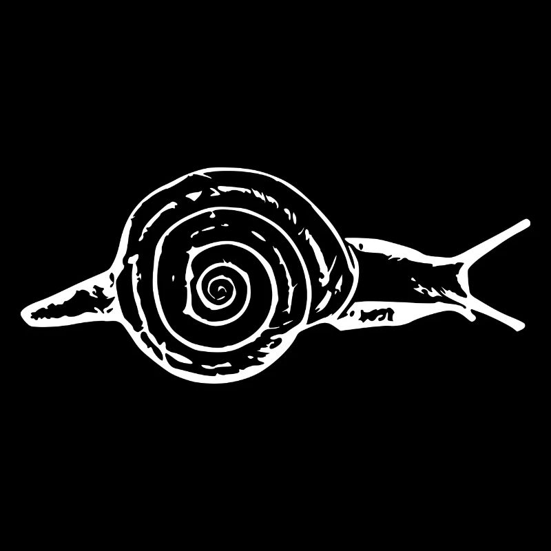 Escargot, escargot de vigne blanc