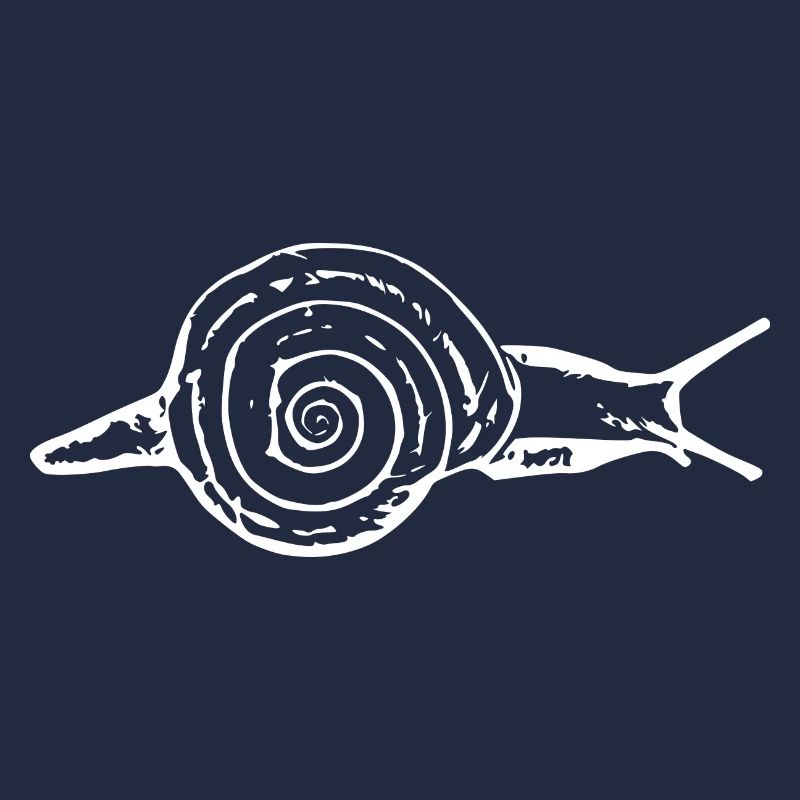 Snail, vineyard snail white