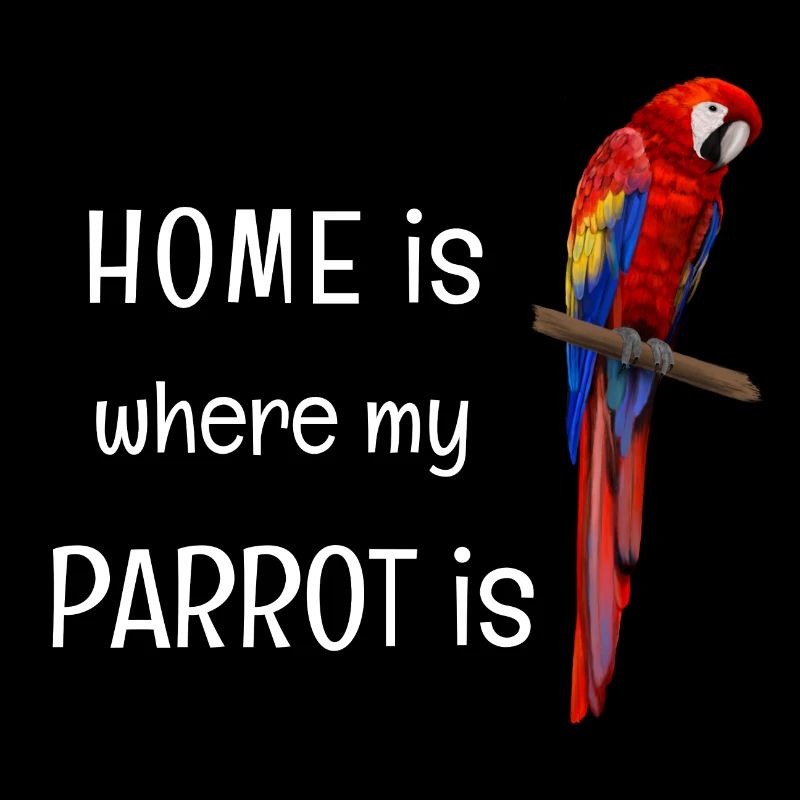La maison est là où est mon perroquet