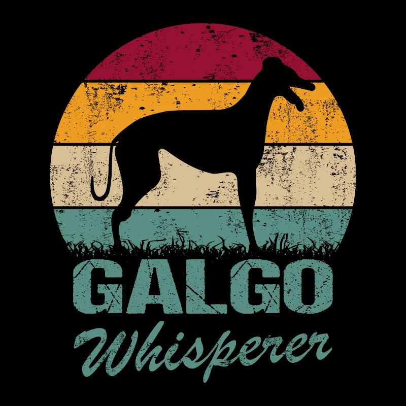 Galgo Espanol Chien Greyhound Whisperer