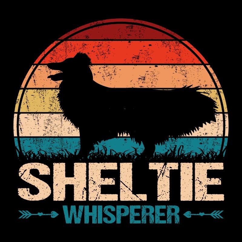 Sheltie Shetland Sheepdog Hund Flüsterer
