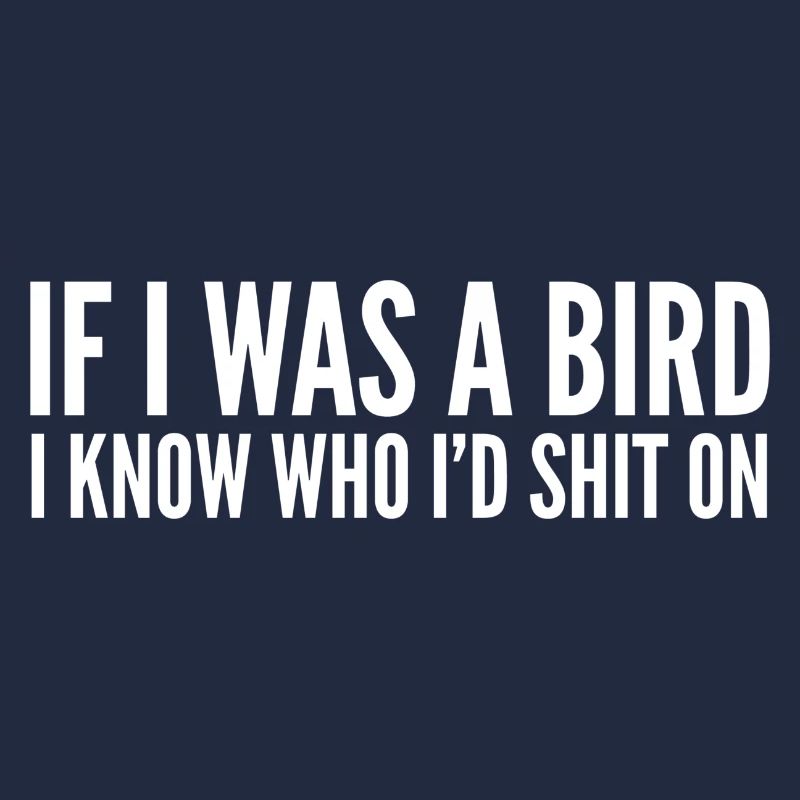 If I Was A Bird I Know Who I'd Shit On