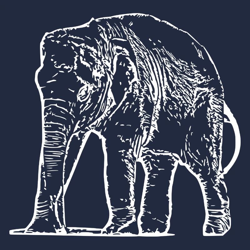 Elephant Baby White
