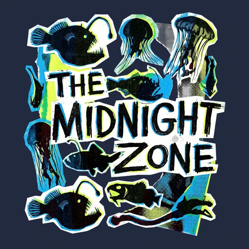 The Midnight Plastic Zone