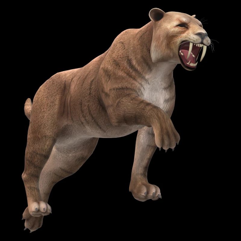 Säbelzahntiger