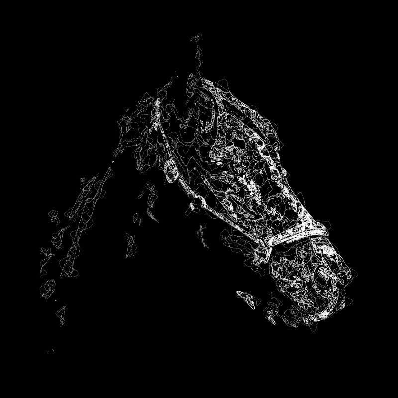 Horse Head Lines Kunst