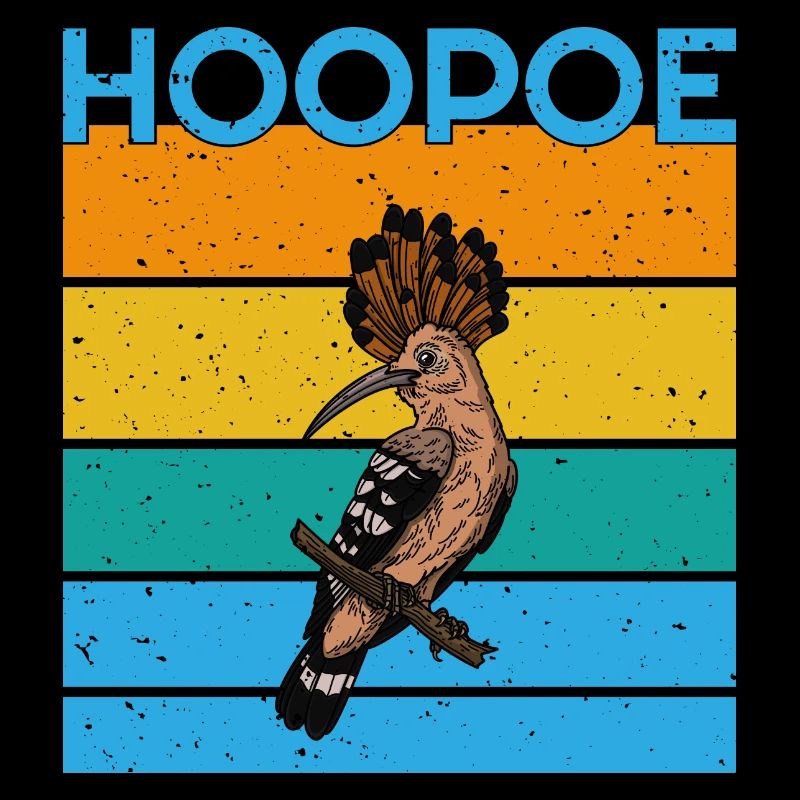 Hoopoe Ornithologist Bird Watching Forest