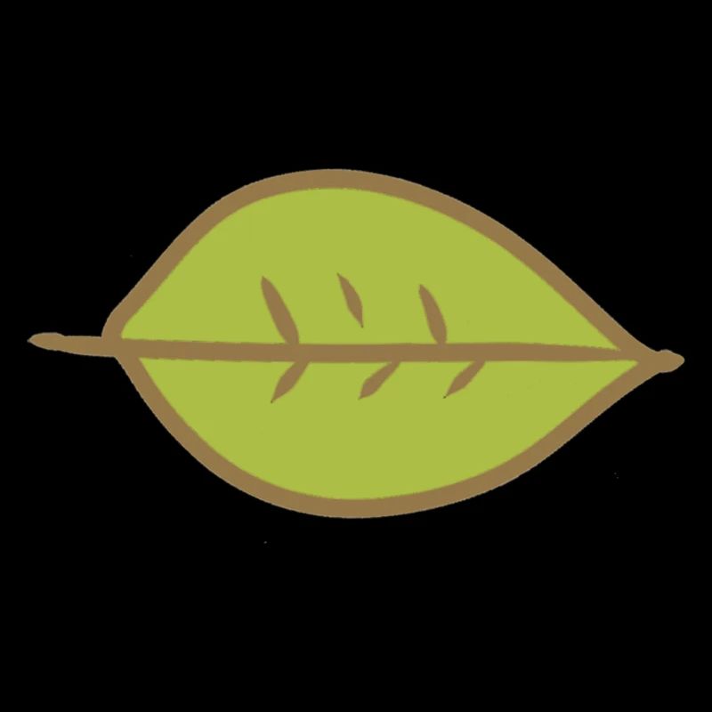 Leaf Green Shape Nature