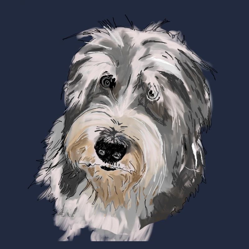 Bearded Collie