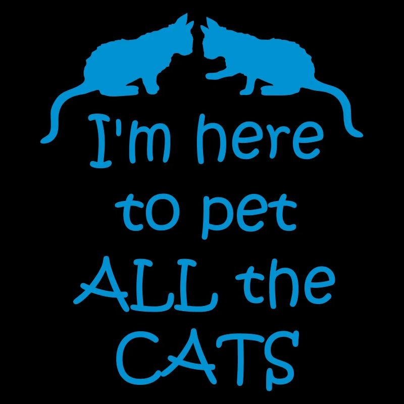 Animaux de compagnie tous les chats