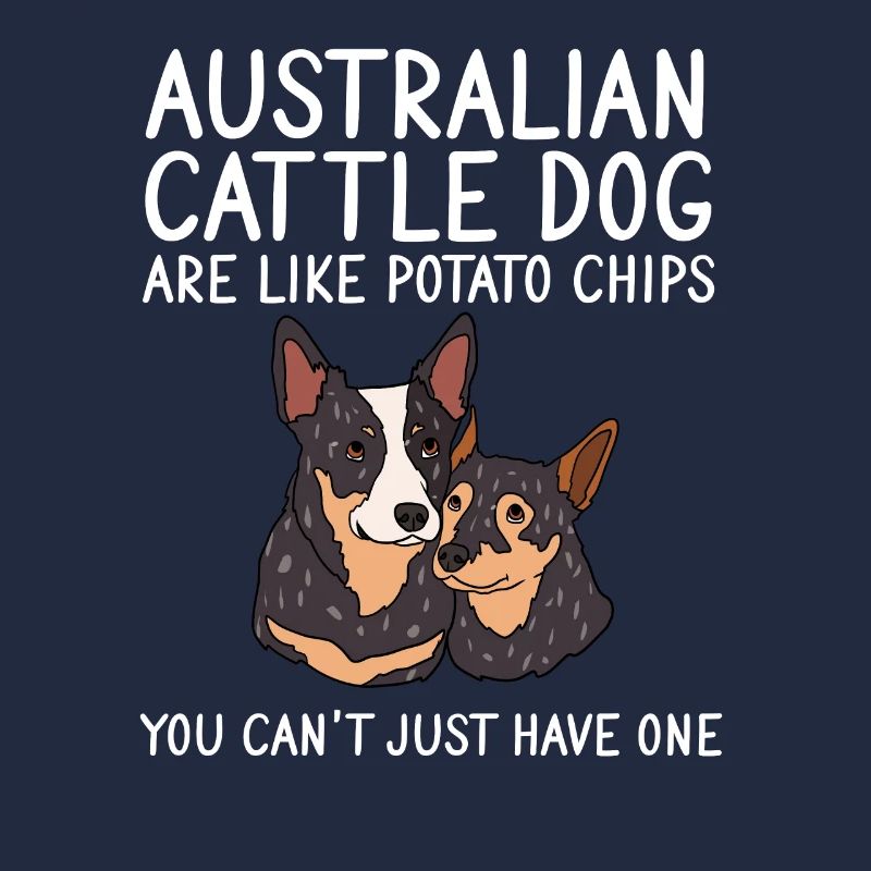 Australian Cattle Dog