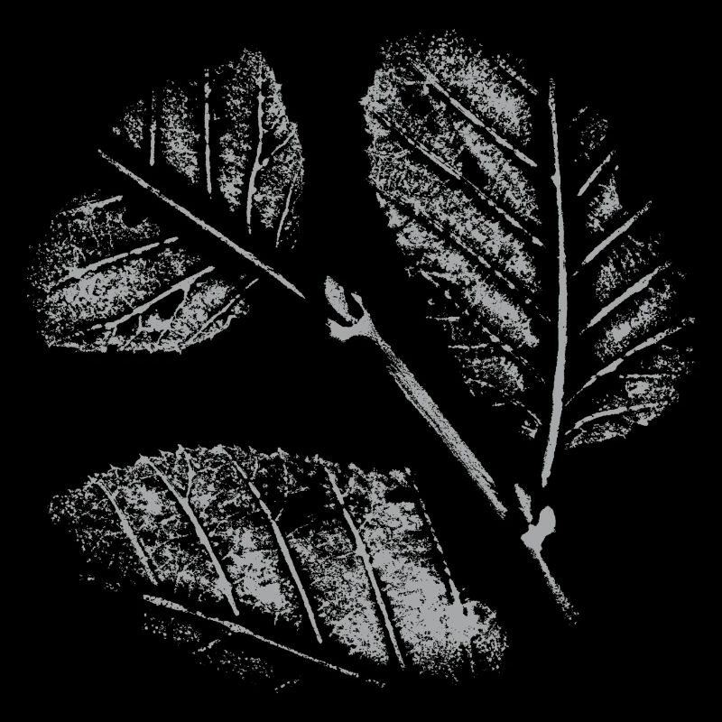 Motif de feuilles