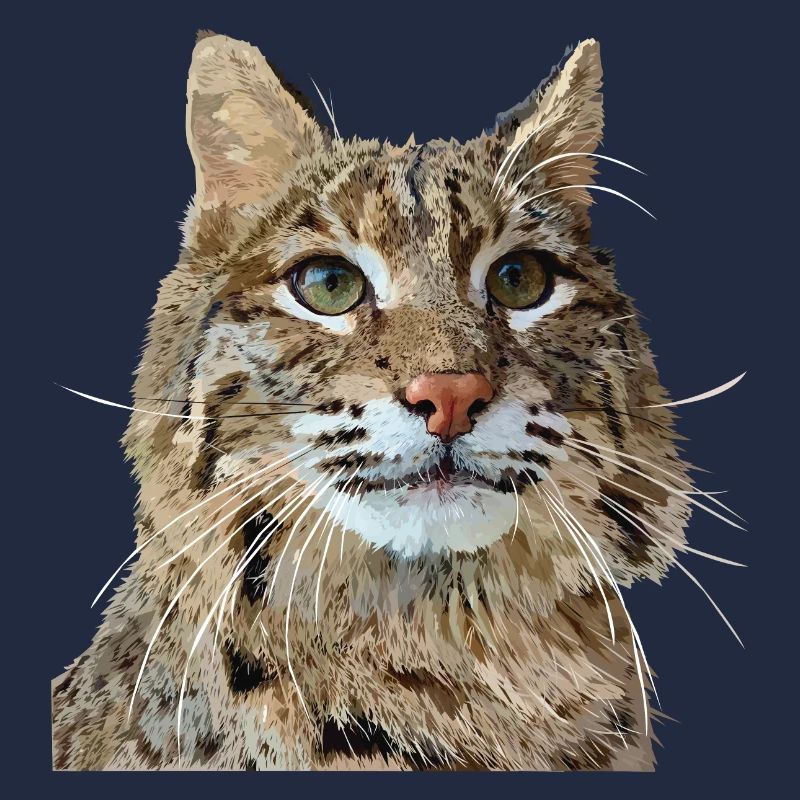 Luchs