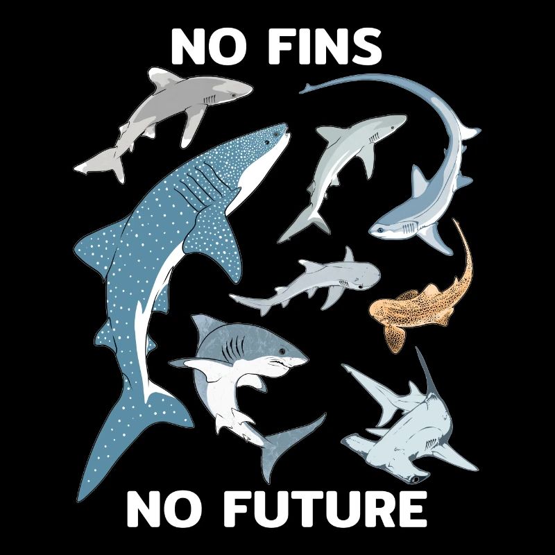 Pas d’ailerons Pas d’espèces de requins futures