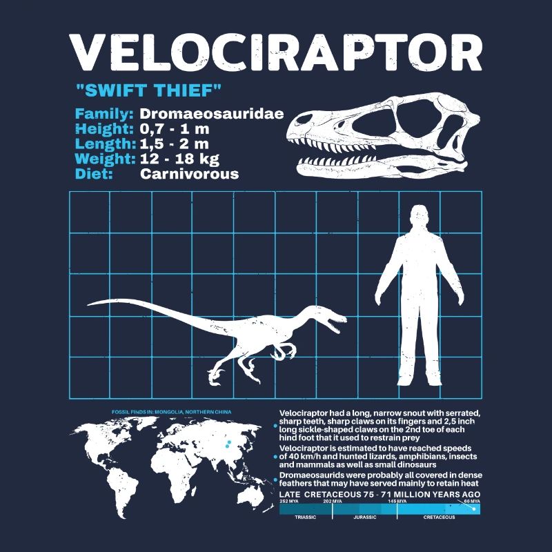 Fiche d’information sur Velociraptor