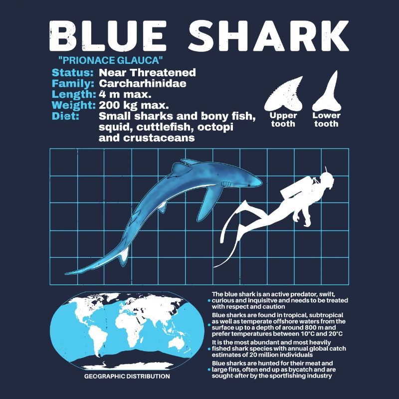 Blue Shark Datasheet Fact Sheet
