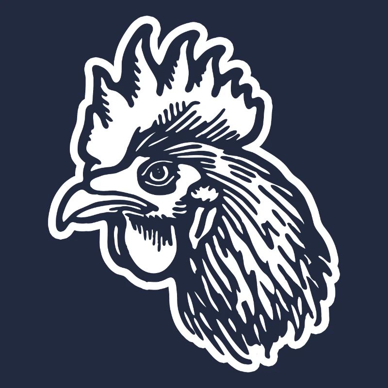 Chicken Chicken Coop