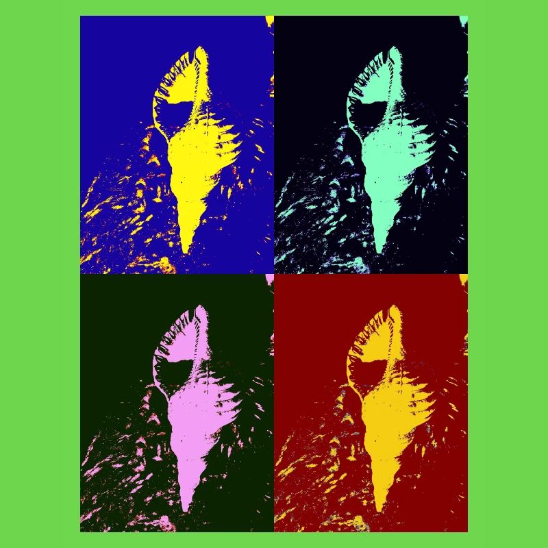 Mediterranean shellfish