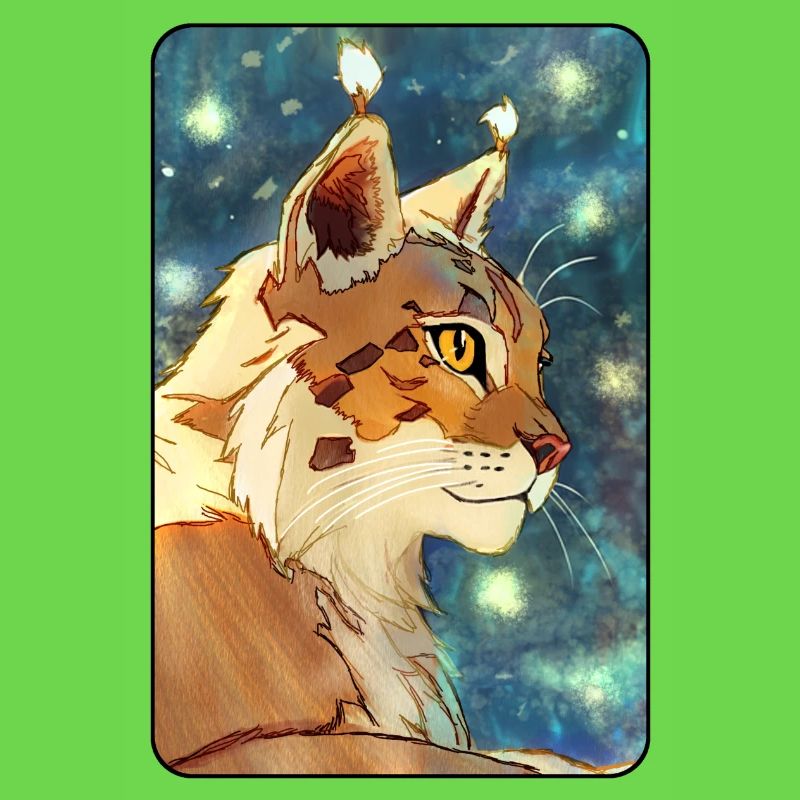 Luchs im Profil