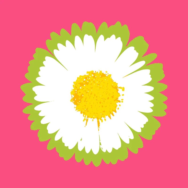 Sunny Daisy Pop Blume