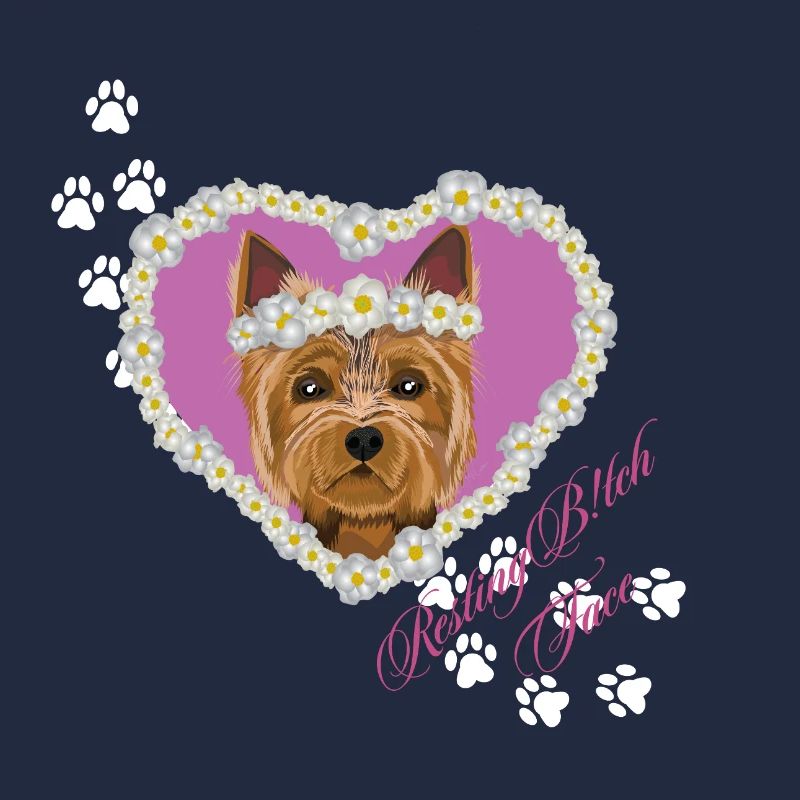 Ruhender Tch-Face Yorksire Terrier
